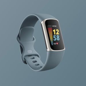 Fitbit Charge 5 (Steel blue/platinum stainless steel)